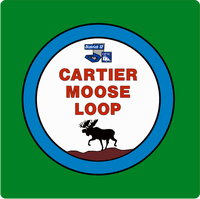 Cartier Moose Loop